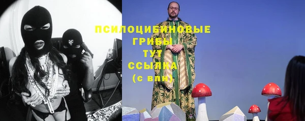 прущая мука Верея