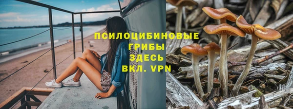 Альфа ПВП Верхнеуральск