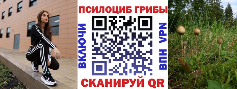 hydra зеркало  Бердск  Псилоцибиновые грибы Psilocybe  закладка 